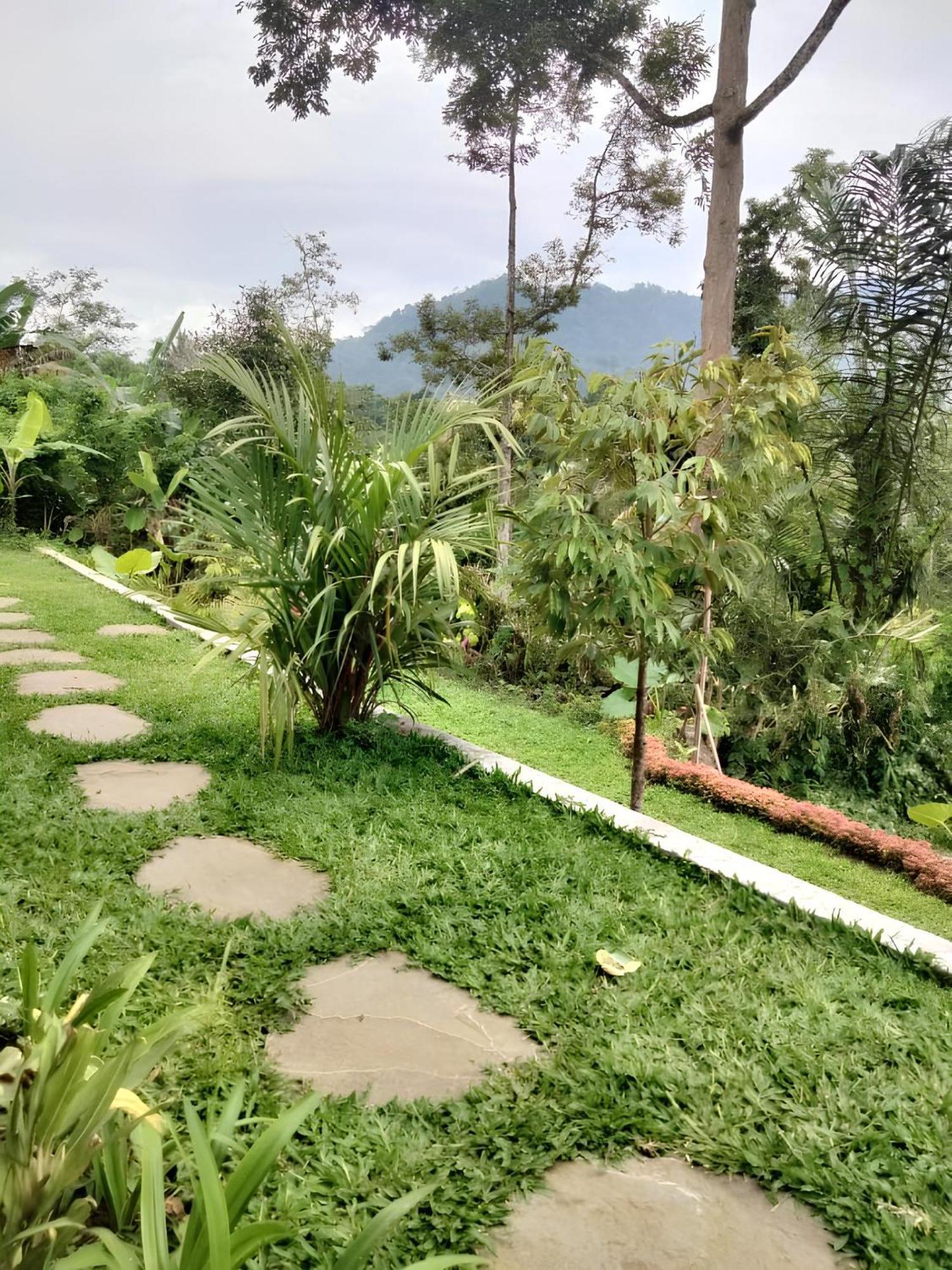 Papahan Bali Sidemen  Luaran gambar
